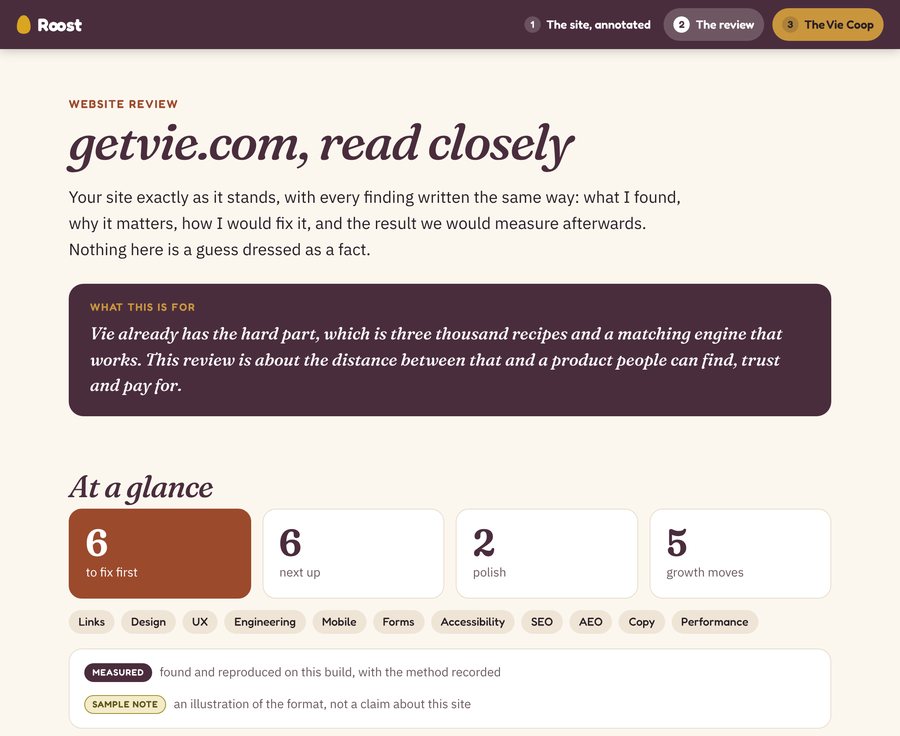 The first page of the Vie review: a heading reading getvie.com read closely, a count of six to fix first, six next up, two polish and five growth moves, and a legend separating measured findings from sample notes